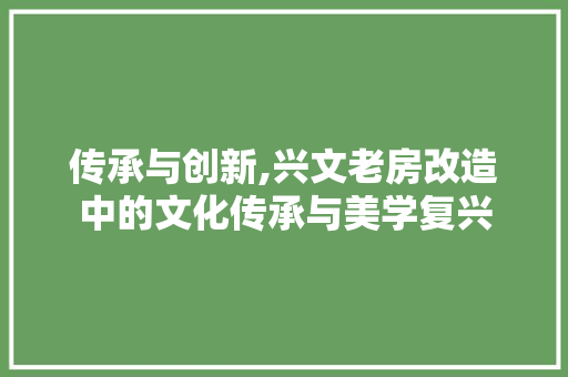 传承与创新,兴文老房改造中的文化传承与美学复兴