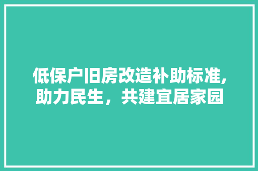 低保户旧房改造补助标准,助力民生，共建宜居家园