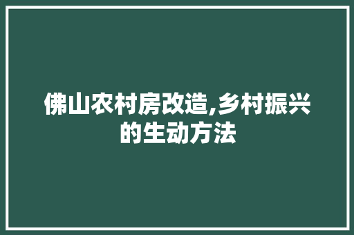 佛山农村房改造,乡村振兴的生动方法