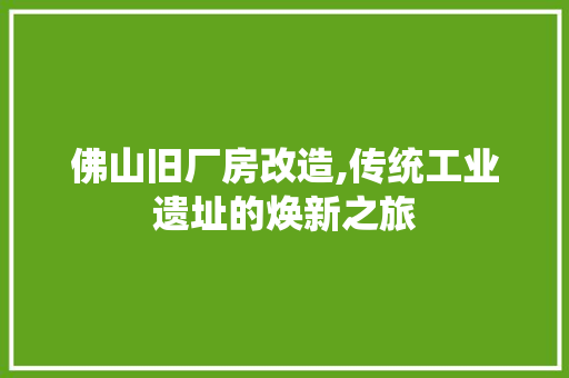 佛山旧厂房改造,传统工业遗址的焕新之旅