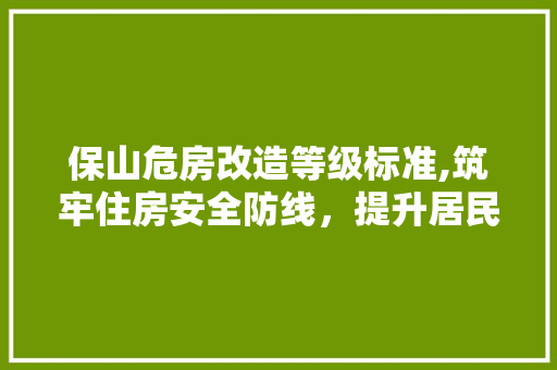 保山危房改造等级标准,筑牢住房安全防线，提升居民幸福指数