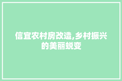 信宜农村房改造,乡村振兴的美丽蜕变 MI家装修攻略
