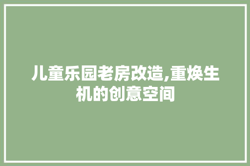儿童乐园老房改造,重焕生机的创意空间
