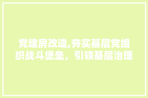 党建房改造,夯实基层党组织战斗堡垒，引领基层治理新局面