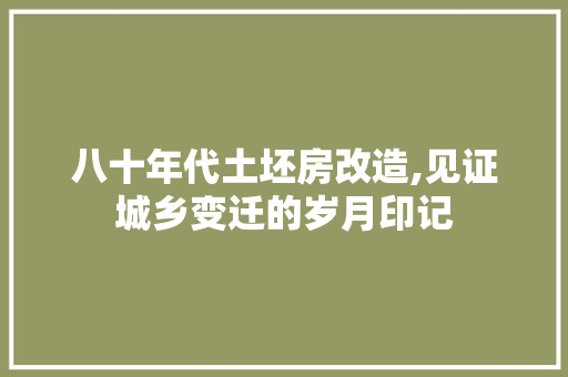 八十年代土坯房改造,见证城乡变迁的岁月印记
