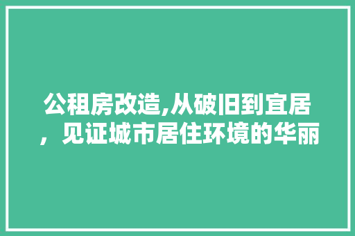 公租房改造,从破旧到宜居，见证城市居住环境的华丽蜕变