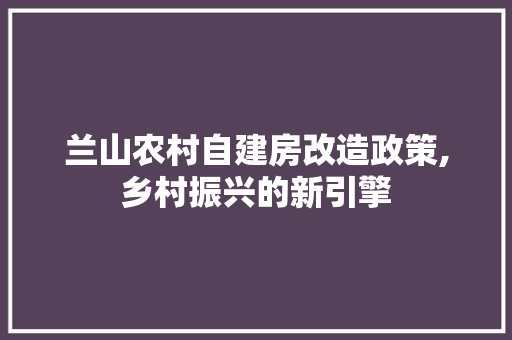 兰山农村自建房改造政策,乡村振兴的新引擎(兰陵县农村自建房)