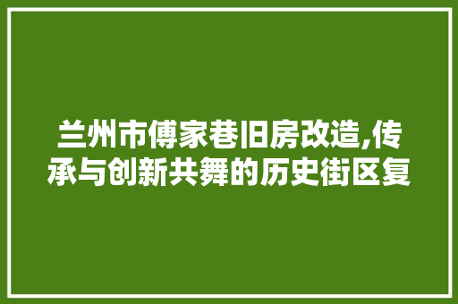兰州市傅家巷旧房改造,传承与创新共舞的历史街区复兴之路(兰州傅家巷棚户区改造)