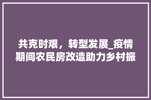 共克时艰，转型发展_疫情期间农民房改造助力乡村振兴 MI家装修经验