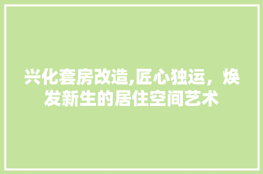 兴化套房改造,匠心独运，焕发新生的居住空间艺术