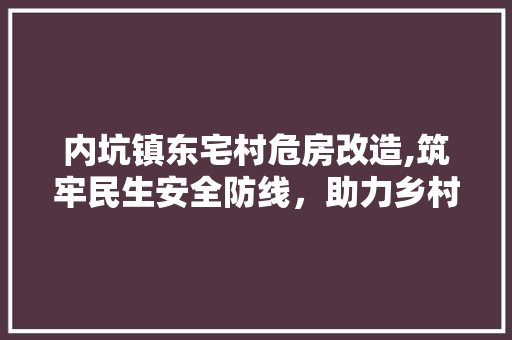 内坑镇东宅村危房改造,筑牢民生安全防线，助力乡村振兴 MI家装修经验