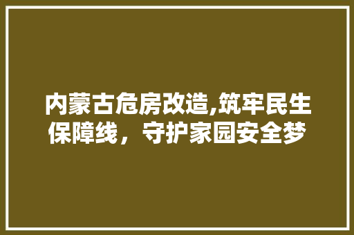 内蒙古危房改造,筑牢民生保障线，守护家园安全梦