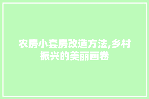 农房小套房改造方法,乡村振兴的美丽画卷 MI家设计百科