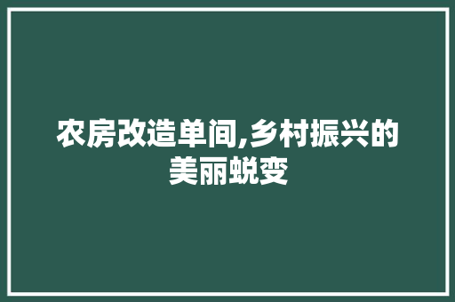 农房改造单间,乡村振兴的美丽蜕变 MI家装修经验