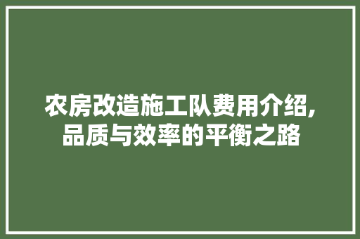 农房改造施工队费用介绍,品质与效率的平衡之路