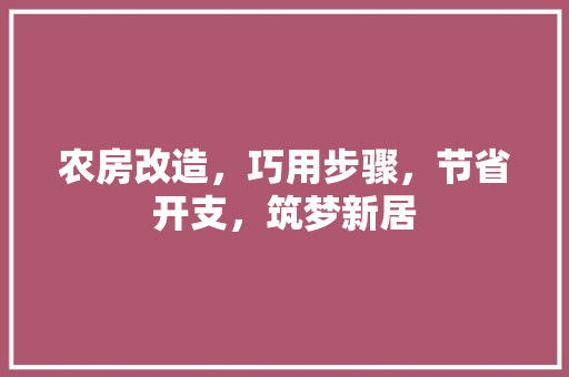 农房改造，巧用步骤，节省开支，筑梦新居