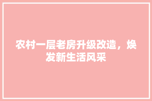 农村一层老房升级改造，焕发新生活风采 MI家公司推荐