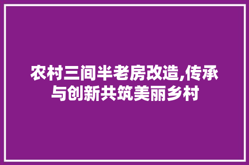 农村三间半老房改造,传承与创新共筑美丽乡村