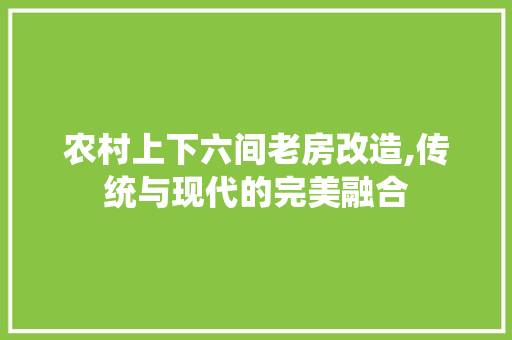 农村上下六间老房改造,传统与现代的完美融合 MI家公司推荐