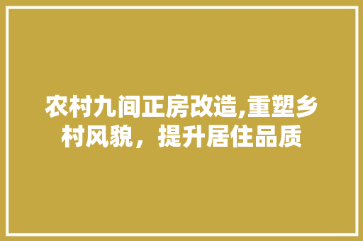 农村九间正房改造,重塑乡村风貌，提升居住品质 MI家装修攻略