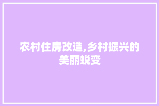 农村住房改造,乡村振兴的美丽蜕变 MI家装修攻略