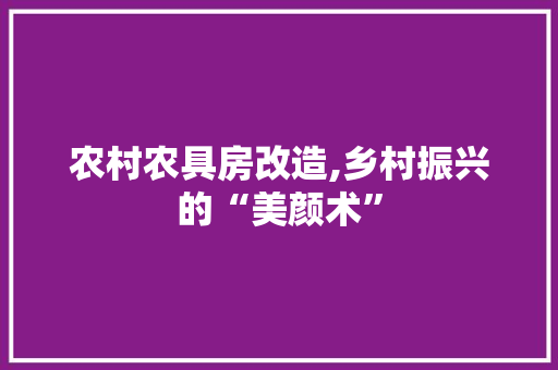 农村农具房改造,乡村振兴的“美颜术”