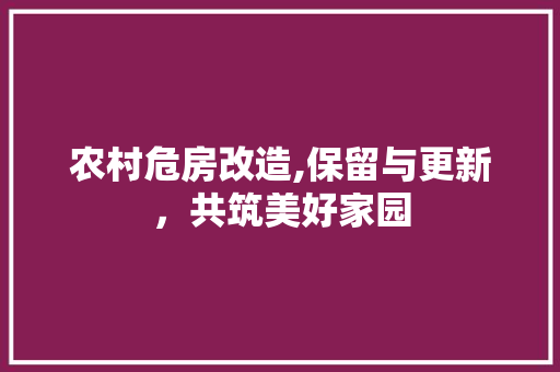 农村危房改造,保留与更新，共筑美好家园(农村危房改造,保留与更新,共筑美好家园)