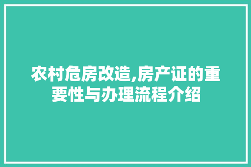 农村危房改造,房产证的重要性与办理流程介绍(农村危房改造房产证怎么办理)