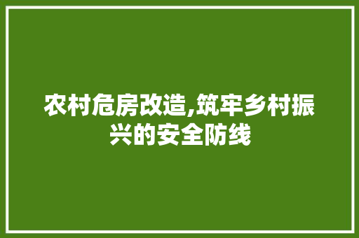 农村危房改造,筑牢乡村振兴的安全防线