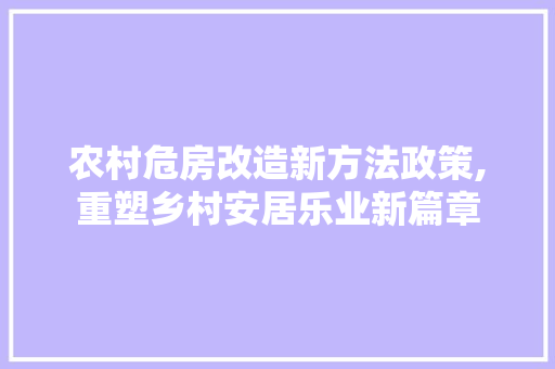 农村危房改造新方法政策,重塑乡村安居乐业新篇章
