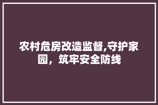 农村危房改造监督,守护家园，筑牢安全防线 MI家设计指南
