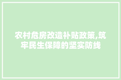 农村危房改造补贴政策,筑牢民生保障的坚实防线