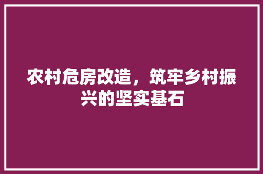 农村危房改造，筑牢乡村振兴的坚实基石 MI家公司推荐