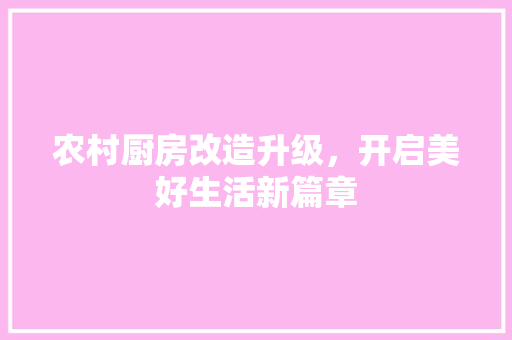 农村厨房改造升级，开启美好生活新篇章 MI家公司推荐