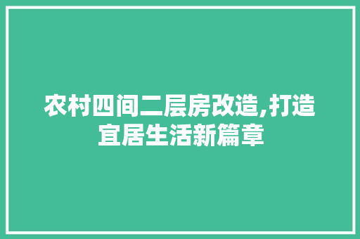 农村四间二层房改造,打造宜居生活新篇章 MI家公司推荐