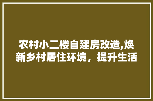 农村小二楼自建房改造,焕新乡村居住环境，提升生活品质 MI家装修经验