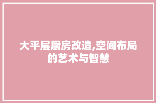 大平层厨房改造,空间布局的艺术与智慧