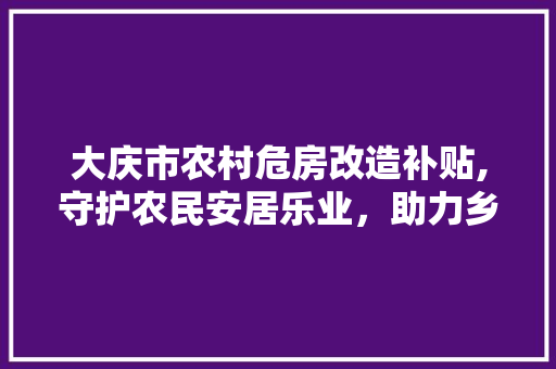大庆市农村危房改造补贴,守护农民安居乐业，助力乡村振兴