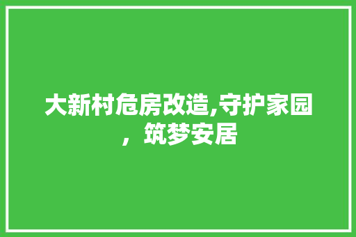 大新村危房改造,守护家园，筑梦安居