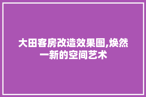 大田客房改造效果图,焕然一新的空间艺术