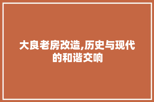 大良老房改造,历史与现代的和谐交响