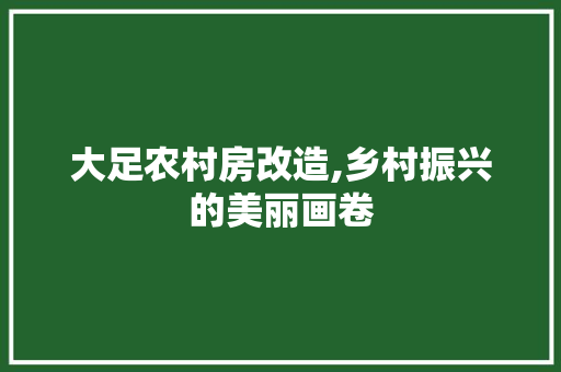 大足农村房改造,乡村振兴的美丽画卷