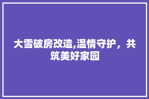大雪破房改造,温情守护，共筑美好家园