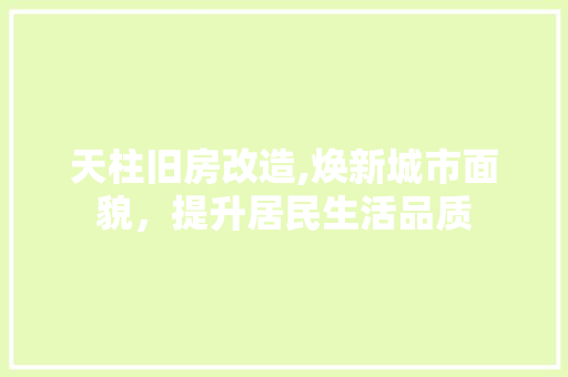 天柱旧房改造,焕新城市面貌，提升居民生活品质