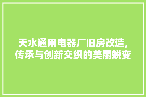 天水通用电器厂旧房改造,传承与创新交织的美丽蜕变