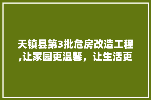 天镇县第3批危房改造工程,让家园更温馨，让生活更美好