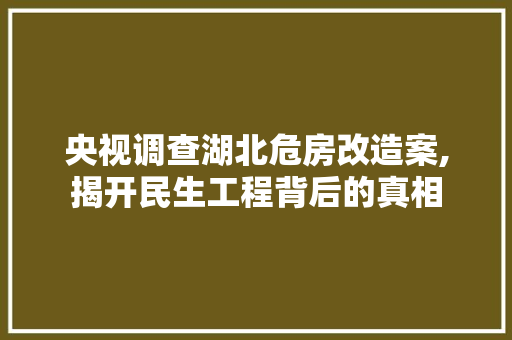 央视调查湖北危房改造案,揭开民生工程背后的真相