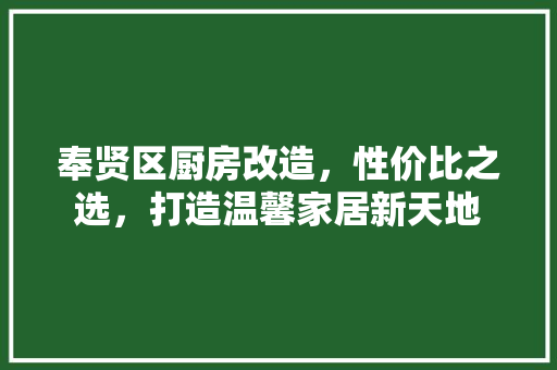 奉贤区厨房改造，性价比之选，打造温馨家居新天地(上海厨房改造)