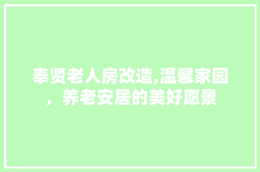奉贤老人房改造,温馨家园，养老安居的美好愿景