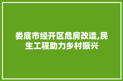 娄底市经开区危房改造,民生工程助力乡村振兴